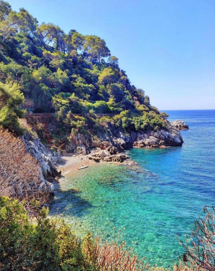 Great And Light Private Room In The Heart Of Νίκαια Εξωτερικό φωτογραφία